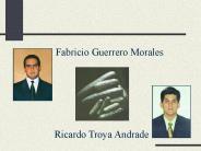Ricardo Troya Andrade