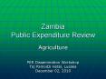 Zambia Public Expenditure Review PowerPoint PPT Presentation