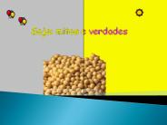 SOJA:MITOS E VERDADES