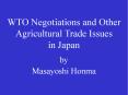 WTO Negotiations and Other Agricultural Trade Issues in Japan by Masayoshi Honma PowerPoint PPT Presentation