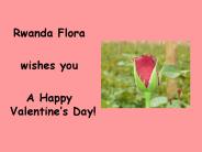 Rwanda Flora