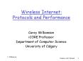 Wireless Internet: Protocols and Performance PowerPoint PPT Presentation
