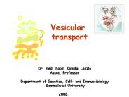 Vesicular transport