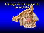 Fisiolog