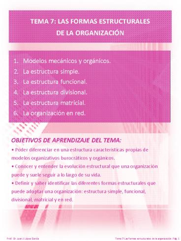 TEMA 7 LAS FORMAS ESTRUCTURALES DE LA ORGANIZACI