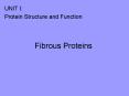 Fibrous Proteins PowerPoint PPT Presentation