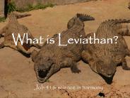 What is Leviathan?