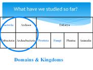 What have we studied so far?
