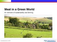 Meat in a Green World