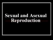 Sexual and Asexual Reproduction