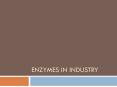 Enzymes in Industry PowerPoint PPT Presentation