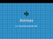Aminas