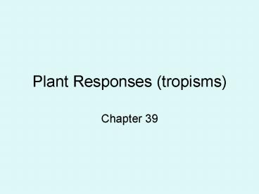 Plant Responses (tropisms) presentation | free to view
