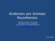 Acidentes por Animais Pe