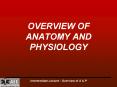 OVERVIEW OF ANATOMY AND PHYSIOLOGY PowerPoint PPT Presentation