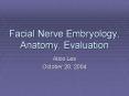 Facial Nerve Embryology, Anatomy, Evaluation PowerPoint PPT Presentation