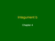 Integument b