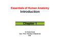 Essentials of Human Anatomy Introduction PowerPoint PPT Presentation