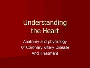 Understanding the Heart