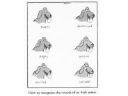 Special Senses  Chapter 9