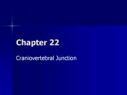 Craniovertebral Junction