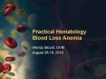Practical Hematology Blood Loss Anemia PowerPoint PPT Presentation