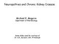 Neuropathies and Chronic Kidney Disease PowerPoint PPT Presentation