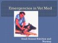 Emergencies in Vet Med PowerPoint PPT Presentation