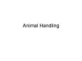 Animal Handling PowerPoint PPT Presentation