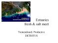 Estuaries fresh PowerPoint PPT Presentation