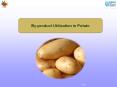Integrated nutrient management in mango PowerPoint PPT Presentation