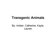 Transgenic Animals
