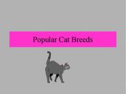 Popular Cat Breeds
