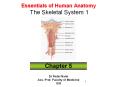 Essentials of Human Anatomy The Skeletal System 1 PowerPoint PPT Presentation