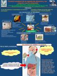 Control cerebral de la ingesta de alimento y su relaci PowerPoint PPT Presentation