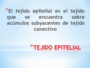 TEJIDO EPITELIAL