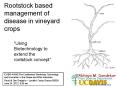 Rootstock based management of disease in vineyard crops PowerPoint PPT Presentation
