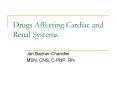 Drugs Affecting Cardiac and Renal Systems PowerPoint PPT Presentation