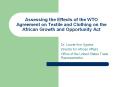 Assessing the Effects of the WTO Agreement on Textile and Clothing on the African Growth and Opportunity Act PowerPoint PPT Presentation