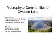 Macrophyte Communities of Owasco Lake