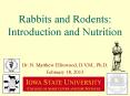 Rabbits and Rodents: Introduction and Nutrition PowerPoint PPT Presentation