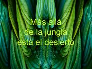 mas all