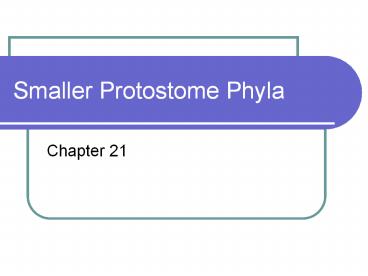 Smaller Protostome Phyla