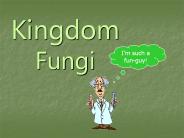 Kingdom Fungi