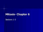 Mitosis- Chapter 6