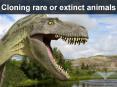 Cloning rare or extinct animals PowerPoint PPT Presentation