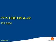 ????%20HSE%20MS%20Audit