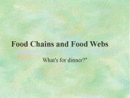 Food Chains and Food Webs