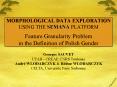 MORPHOLOGICAL DATA EXPLORATION USING THE SEMANA PLATFORM Feature Granularity Problem in the Definition of Polish Gender PowerPoint PPT Presentation