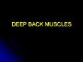 DEEP BACK MUSCLES PowerPoint PPT Presentation